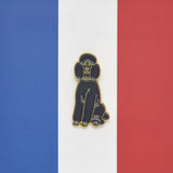 Lapel pin / Paris Series🇫🇷