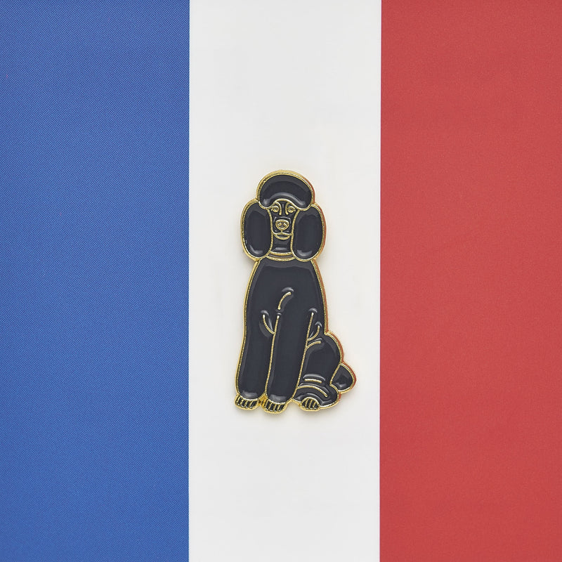 Lapel pin / Paris Series🇫🇷