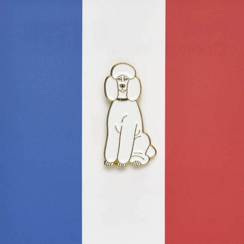 Lapel pin / Paris Series🇫🇷
