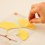 Sticky Leaf