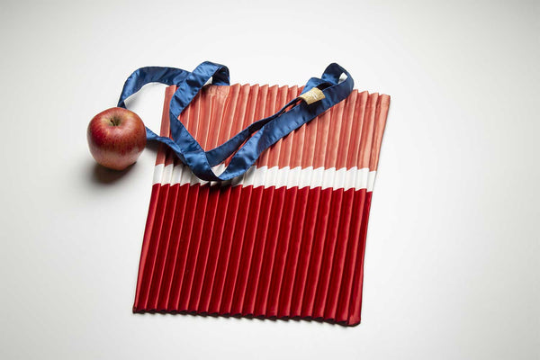 PLEATED BAG