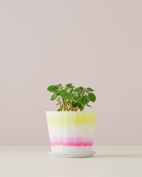 FLOWER POT CMY