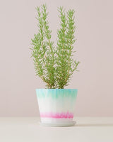 FLOWER POT CMY