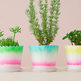 FLOWER POT CMY
