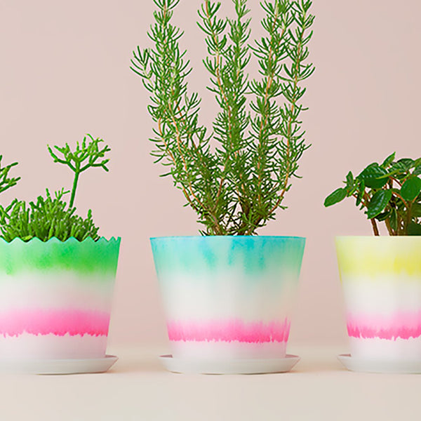 FLOWER POT CMY