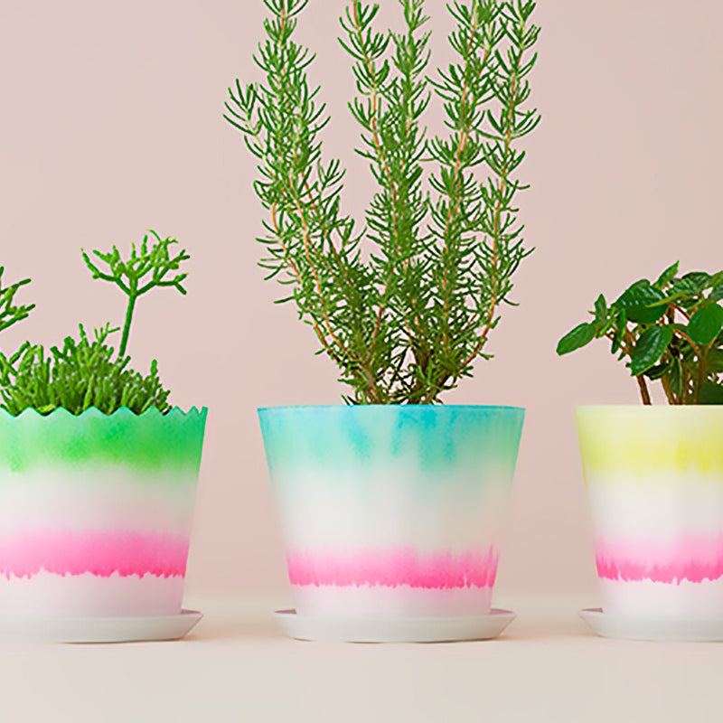 FLOWER POT CMY