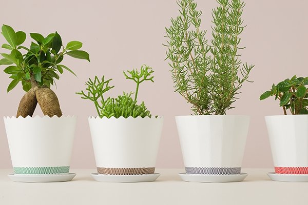 FLOWER POT CMY