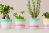 FLOWER POT CMY