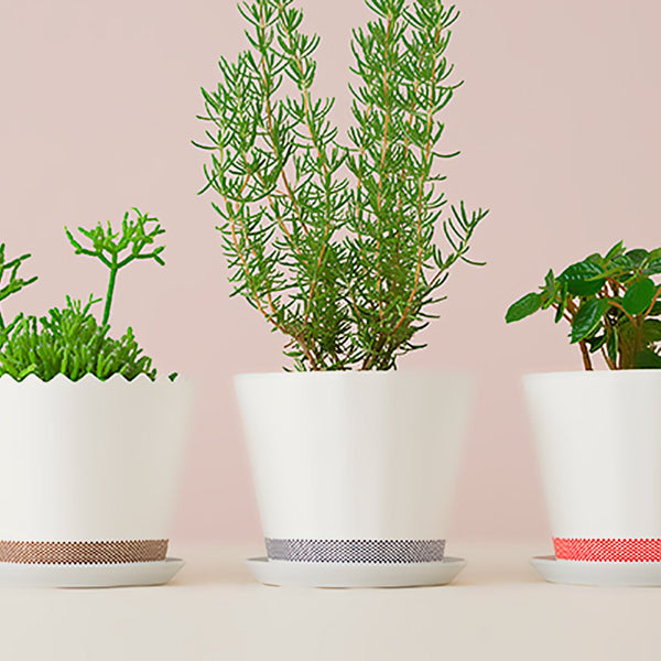 FLOWER POT CMY