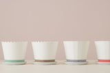 FLOWER POT CMY