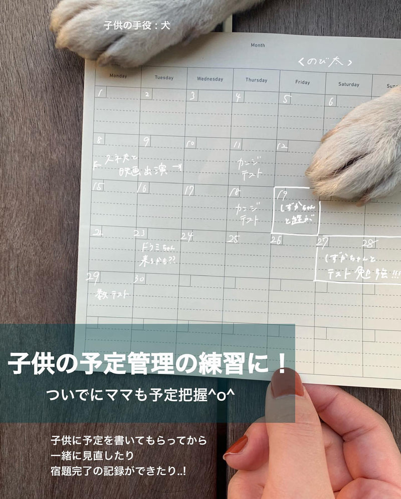 PROJECT PLAN / PAD NOTE